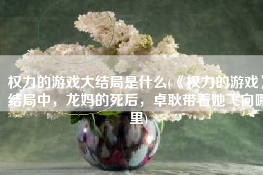 权力的游戏大结局是什么(《权力的游戏》结局中，龙妈的死后，卓耿带着她飞向哪里)