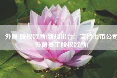 外籍 股权激励(新规出台：支持上市公司外籍员工股权激励)