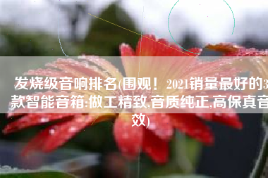 发烧级音响排名(围观！2021销量最好的3款智能音箱:做工精致,音质纯正,高保真音效)