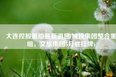 大连控股重组最新消息(城投集团整合重组，文旅集团5月底挂牌)