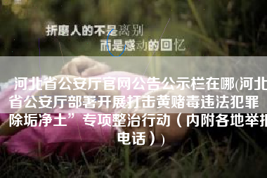 河北省公安厅官网公告公示栏在哪(河北省公安厅部署开展打击黄赌毒违法犯罪“除垢净土”专项整治行动（内附各地举报电话）)