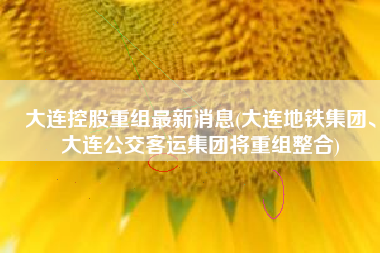 大连控股重组最新消息(大连地铁集团、大连公交客运集团将重组整合)