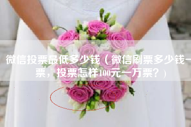 微信投票最低多少钱（微信刷票多少钱一票，投票怎样100元一万票？)