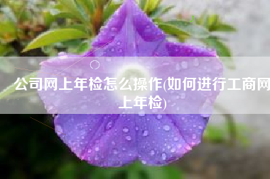 公司网上年检怎么操作(如何进行工商网上年检)
