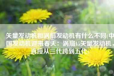 矢量发动机和涡扇发动机有什么不同(中国发动机迎来春天：涡扇15矢量发动机，直接从三代跨到五代)