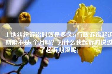 土地纠纷诉讼时效是多久?(行政诉讼起诉期限不是6个月吗？为什么我起诉时说过了起诉期限呢)