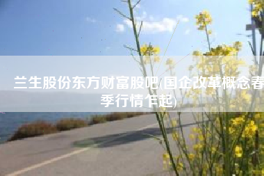 兰生股份东方财富股吧(国企改革概念春季行情乍起)