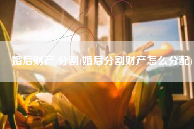 婚后财产 分割(婚后分割财产怎么分配)