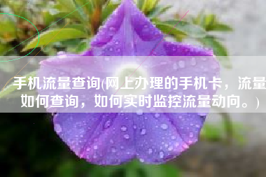 手机流量查询(网上办理的手机卡，流量如何查询，如何实时监控流量动向。)