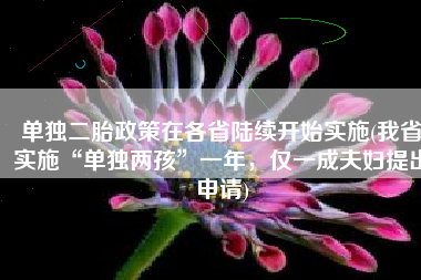 单独二胎政策在各省陆续开始实施(我省实施“单独两孩”一年，仅一成夫妇提出申请)