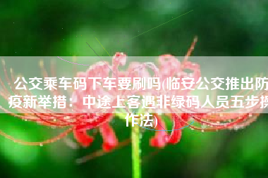 公交乘车码下车要刷吗(临安公交推出防疫新举措：中途上客遇非绿码人员五步操作法)