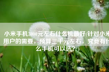小米手机3000元左右什么机最好(针对小米用户的需要，预算三千元左右，究竟有什么手机可以选？)