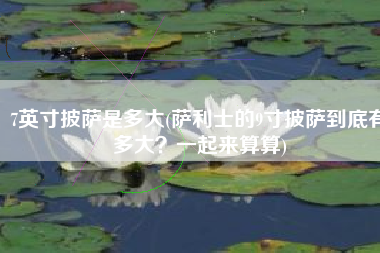 7英寸披萨是多大(萨利士的9寸披萨到底有多大？一起来算算)