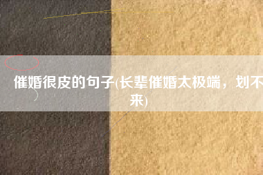 催婚很皮的句子(长辈催婚太极端，划不来)