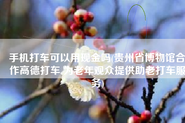 手机打车可以用现金吗(贵州省博物馆合作高德打车 为老年观众提供助老打车服务)