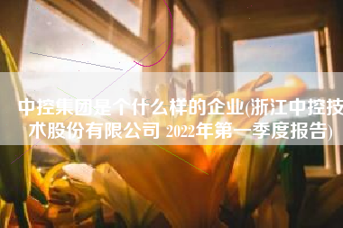 中控集团是个什么样的企业(浙江中控技术股份有限公司 2022年第一季度报告)