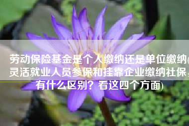 劳动保险基金是个人缴纳还是单位缴纳(灵活就业人员参保和挂靠企业缴纳社保，有什么区别？看这四个方面)