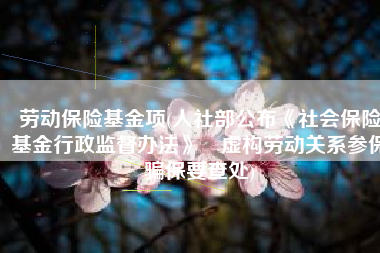 劳动保险基金项(人社部公布《社会保险基金行政监督办法》 虚构劳动关系参保骗保要查处)