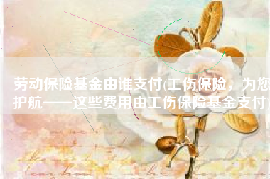 劳动保险基金由谁支付(工伤保险，为您护航——这些费用由工伤保险基金支付)