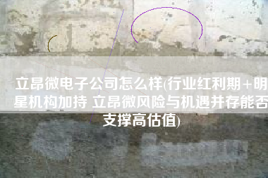 立昂微电子公司怎么样(行业红利期+明星机构加持 立昂微风险与机遇并存能否支撑高估值)