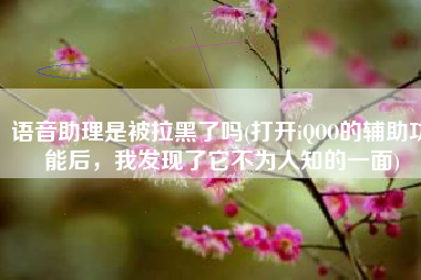 语音助理是被拉黑了吗(打开iQOO的辅助功能后，我发现了它不为人知的一面)