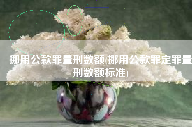挪用公款罪量刑数额(挪用公款罪定罪量刑数额标准)