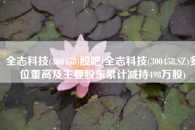 全志科技(300458)股吧(全志科技(300458.SZ)多位董高及主要股东累计减持498万股)