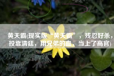 黄天霸(现实版“黄天霸”，残忍好杀，投靠清廷，用兄弟的血，当上了高官)