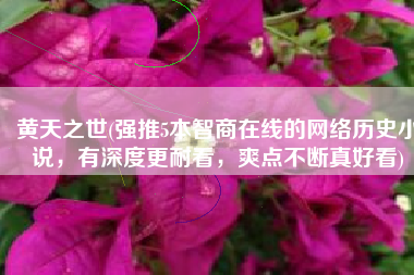黄天之世(强推5本智商在线的网络历史小说，有深度更耐看，爽点不断真好看)
