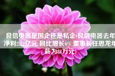 良信电器是国企还是私企(良信电器去年净利2.22亿元 同比增长6% 董事长任思龙年薪为81万元)