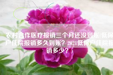 农村合作医疗报销三个月还没到账(低保户住院报销多久到账？2021低保户住院报销多少？)
