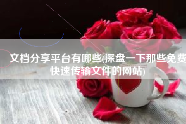 文档分享平台有哪些(深盘一下那些免费快速传输文件的网站)
