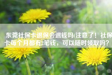 东莞社保卡退保会退钱吗(注意了！社保卡每个月都有2笔钱，可以随时领取吗？)