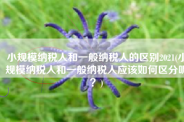 小规模纳税人和一般纳税人的区别2021(小规模纳税人和一般纳税人应该如何区分呢？)