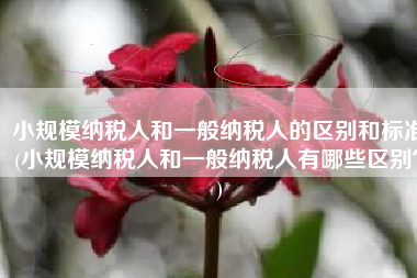 小规模纳税人和一般纳税人的区别和标准(小规模纳税人和一般纳税人有哪些区别？)