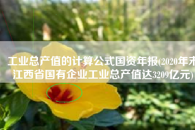 工业总产值的计算公式国资年报(2020年末江西省国有企业工业总产值达3209亿元)