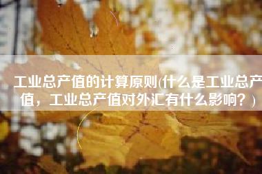 工业总产值的计算原则(什么是工业总产值，工业总产值对外汇有什么影响？)