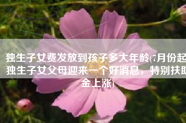 独生子女费发放到孩子多大年龄(7月份起，独生子女父母迎来一个好消息，特别扶助金上涨)