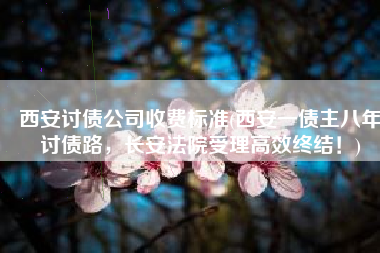 西安讨债公司收费标准(西安一债主八年讨债路，长安法院受理高效终结！)