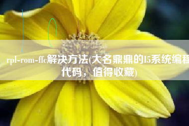 rpl-rom-ffc解决方法(大名鼎鼎的I5系统编程代码，值得收藏)
