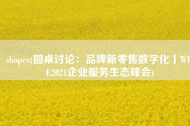 shopex(圆桌讨论：品牌新零售数字化丨WISE2021企业服务生态峰会)