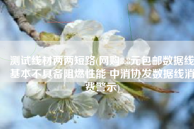 测试线材两两短路(网购8.8元包邮数据线基本不具备阻燃性能 中消协发数据线消费警示)