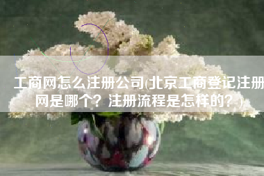 工商网怎么注册公司(北京工商登记注册网是哪个？注册流程是怎样的？)