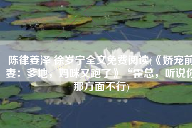 陈律姜泽 徐岁宁全文免费阅读(《娇宠前妻：爹地，妈咪又跑了》“霍总，听说你那方面不行)