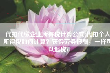 代扣代缴企业所得税计算公式(代扣个人所得税如何计算？获得劳务报酬，一样可以退税)