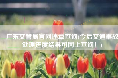 广东交管局官网违章查询(今后交通事故处理进度结果可网上查询！)
