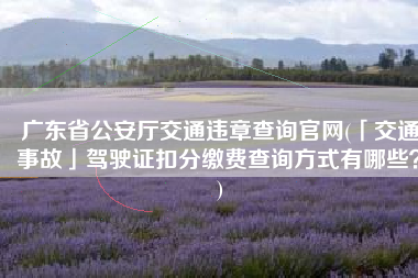 广东省公安厅交通违章查询官网(「交通事故」驾驶证扣分缴费查询方式有哪些？)