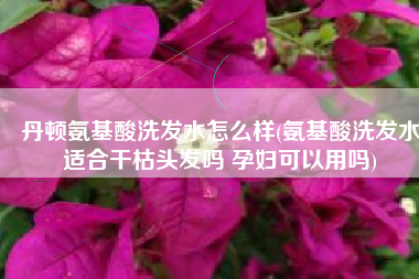 丹顿氨基酸洗发水怎么样(氨基酸洗发水适合干枯头发吗 孕妇可以用吗)