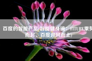 百度的智能产品(智能健身镜：FITURE乘势而起、百度迎风而上)