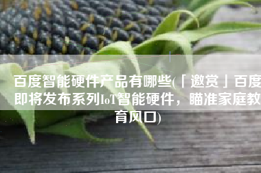 百度智能硬件产品有哪些(「邀赏」百度即将发布系列IoT智能硬件，瞄准家庭教育风口)